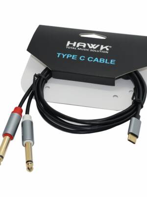 HC2PLU01.8 - TYPE C TO 2* 6.35 MM TS Male Black