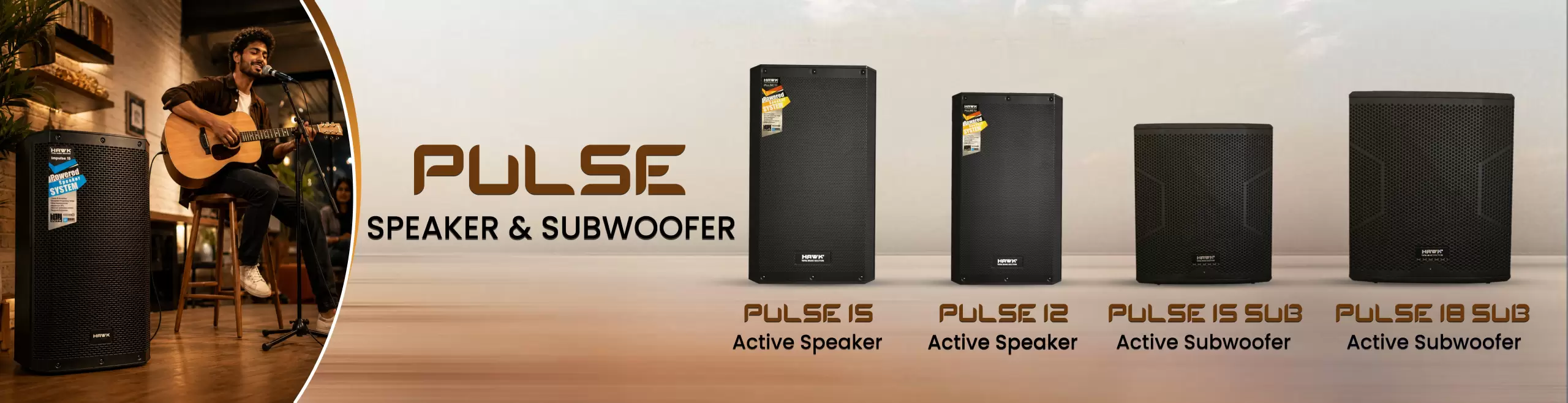 Hawk pulse banner